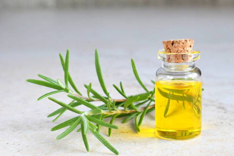 Rosemary Essential Oil - Shutterstock