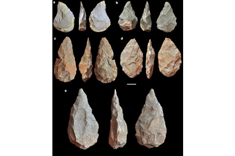 Acheulean hand axes - stone tool