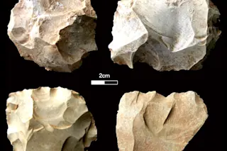India stone tools - Chris Clarkson