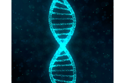 Genes DNA - Shutterstock