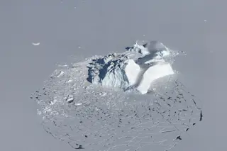 Arctic Iceberg and Sea Ice