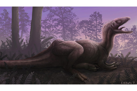 Concavenator corcovatus thermo