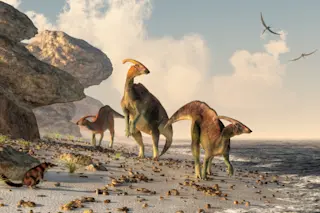 dinosaur water beach - shutterstock