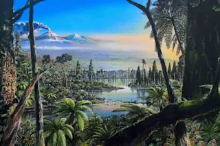 Antarctic rainforest credit Alfred-Wegener-Institut/James McKay