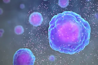Cytokines - Wikimedia Commons