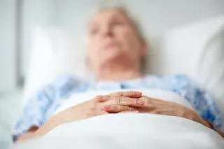 Elderly Sick Ill Old Person Hospital Bed - Shutterstock
