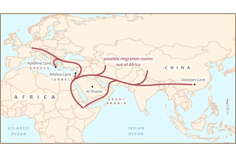H sapiens Route