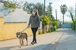 dog coronavirus walk shutterstock