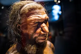 Neanderthal - Shutterstock