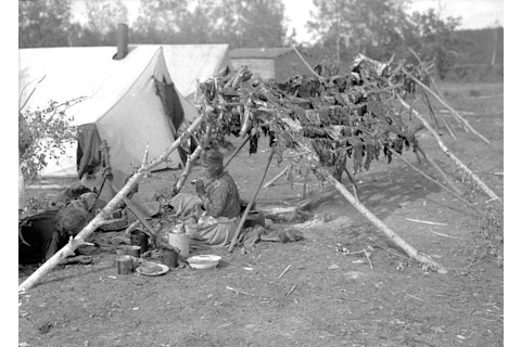Cree Woman & Racks of Drying Meat - Provincial Archives of Alberta