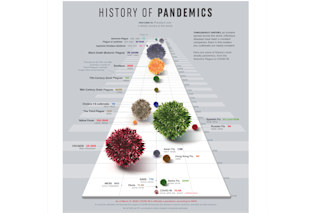 Pandemic history resized