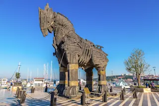 wooden horse june 2020