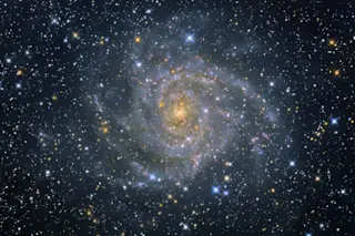IC 342