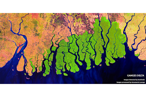 Ganges Delta