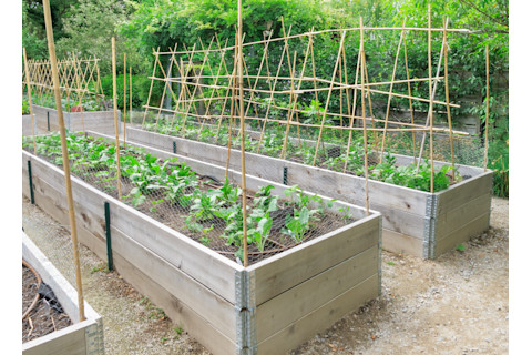 shutterstock 107836508