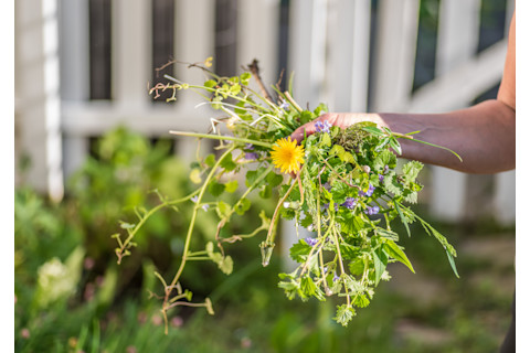 shutterstock 643176109