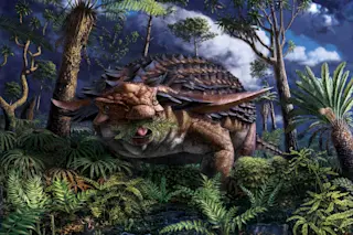 Borealopelta dinosaur