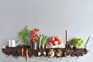 Compost Vegetable Garden - Shutterstock