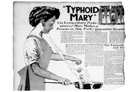 Typhoid Mary Cartoon - Wikimedia Commons