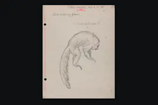 Smithsonian digital 