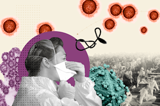 Virus Evolution - Knowable
