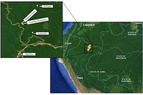 Nueva Vida map - Grace Neveu