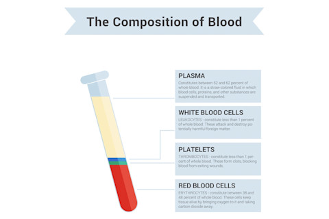 bloodcomponents