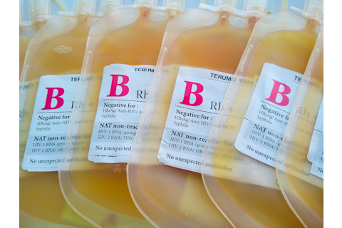 Plasma in a blood bag - shutterstock