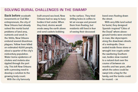 burialchallengesswamp