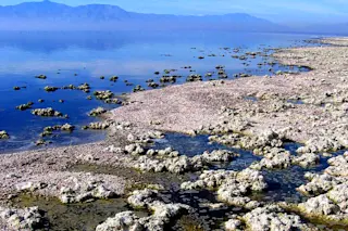 Salton Sea