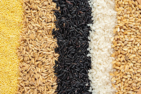 A variety of whole grains - shutterstock 1675823335