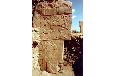 Pillar 43 gobekli tepe