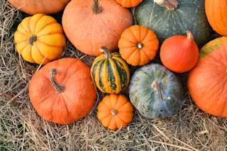 pumpkin varieties - Shutterstock