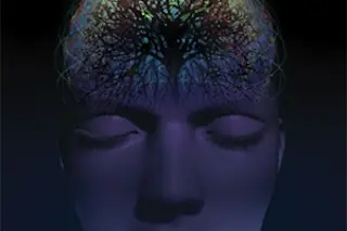 Brain Tree Illustration - Stuart Bradford