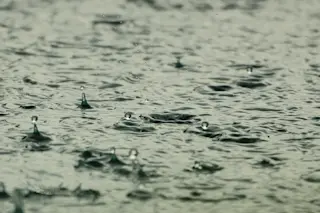rainwater