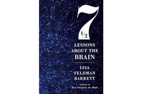 7LessonsAboutTheBrain
