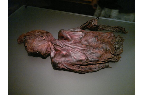 Bog body, Clonycavan Man - Wikimedia Commons