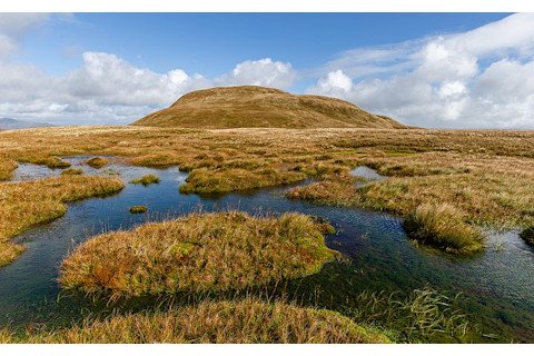 800px-A peat bog below the top of Doune Hill, Luss Hills, Scotland