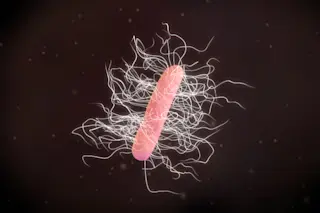 C. diff infection bacteria - shutterstock