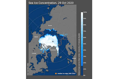 Arctic Sea Ice Concentration on Oct. 29, 2020 - NSIDC