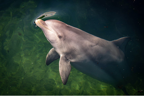 shutterstock 1777254548