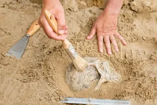 Archeologist uncovers skull