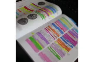 Visual learner highlighting a textbook learning styles education Kim Heimbuch/Pixabay