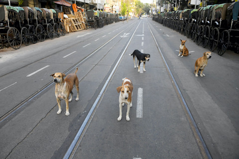 GettyImages-1209451783