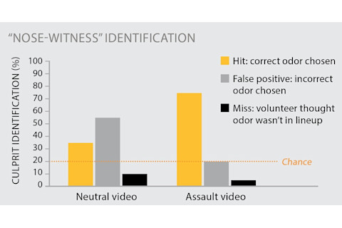 Nose-witness identification chart - Alison Mackey/Discover