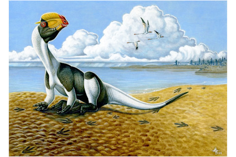 Dilophosaurus resting