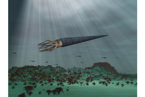 3D Illustration of a Cameroceras at sea - shutterstock