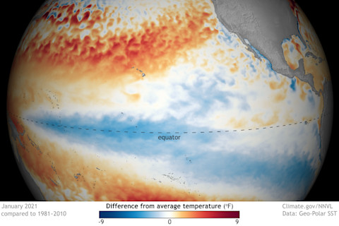 January 2021 Sea Surface Temperature Anomalies