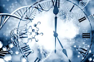 Lifespan clock dna - shutterstock