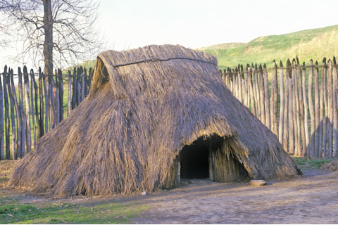 A thatched hut at Cahokia. (Credit: Joseph Sohm/Shutterstock)